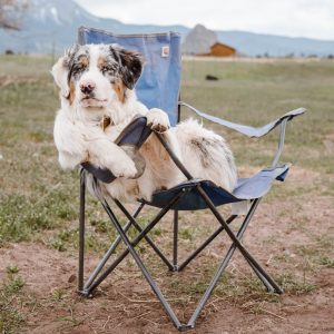 funny australian shepherd sitting on camp chair in mountainous terrain