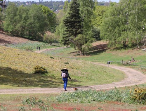 woman walking dog on winding countryside estate path